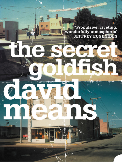 Title details for The Secret Goldfish by David Means - Available